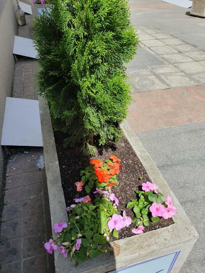 Apartment Resavska Beograd Eksteriør billede